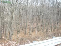 1128 Route10,west