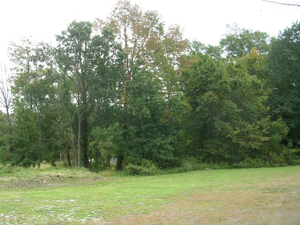 MLS #/Web ID: 2724879