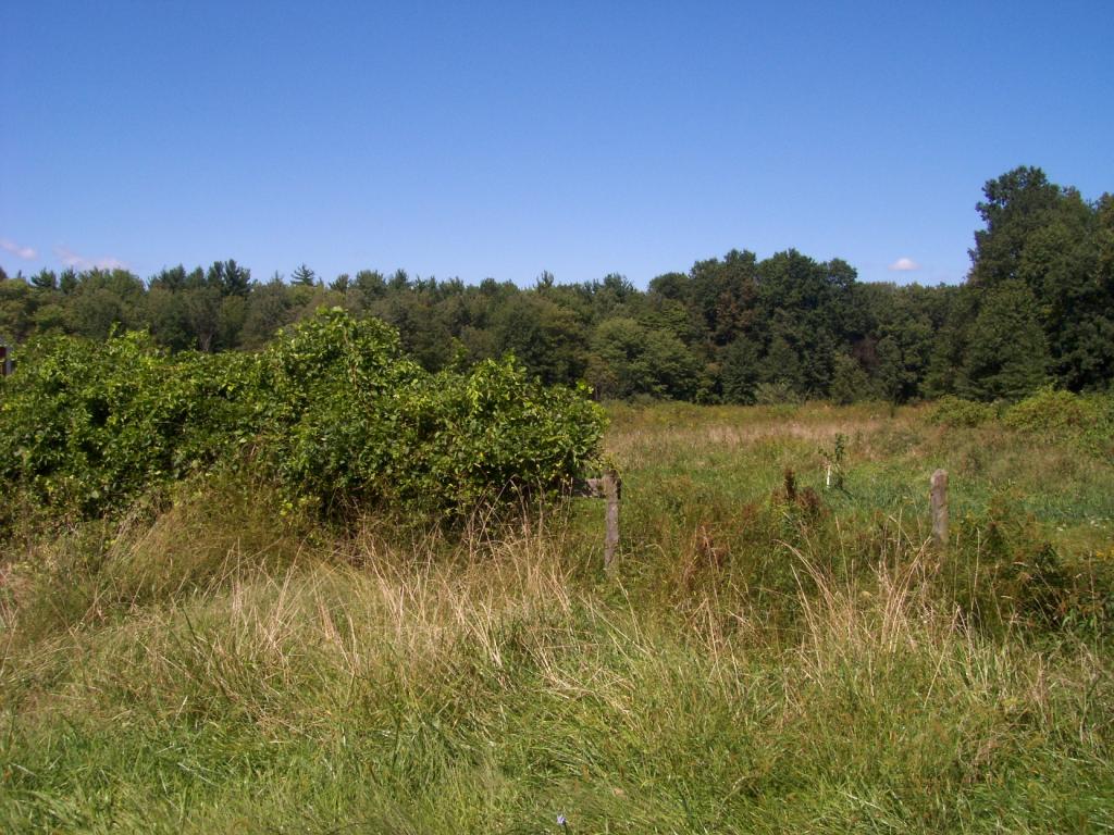 00 Seabrook Road