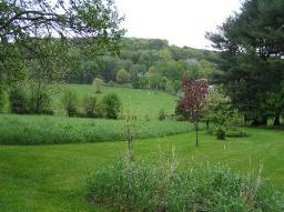 MLS #/Web ID: 2645281