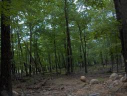 MLS #/Web ID: 2646881