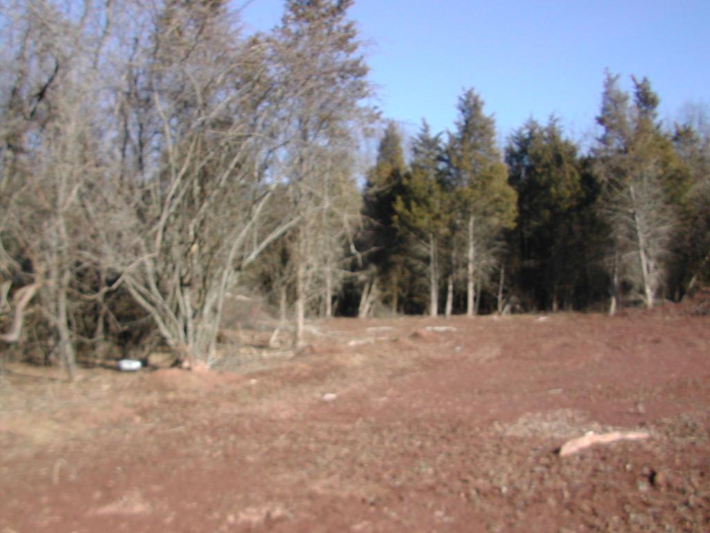 MLS #/Web ID: 2695481