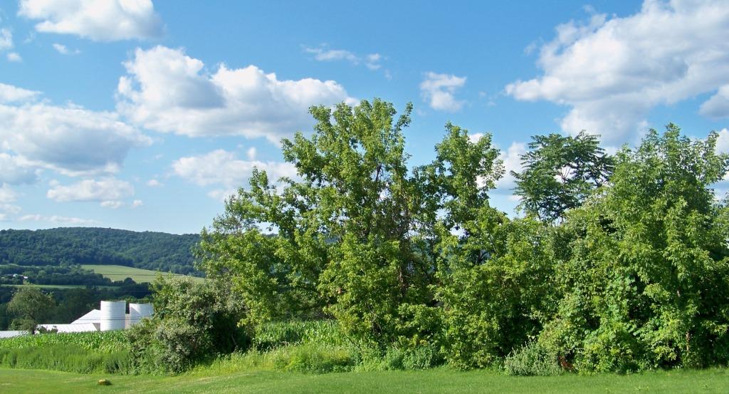 MLS #/Web ID: 2701881