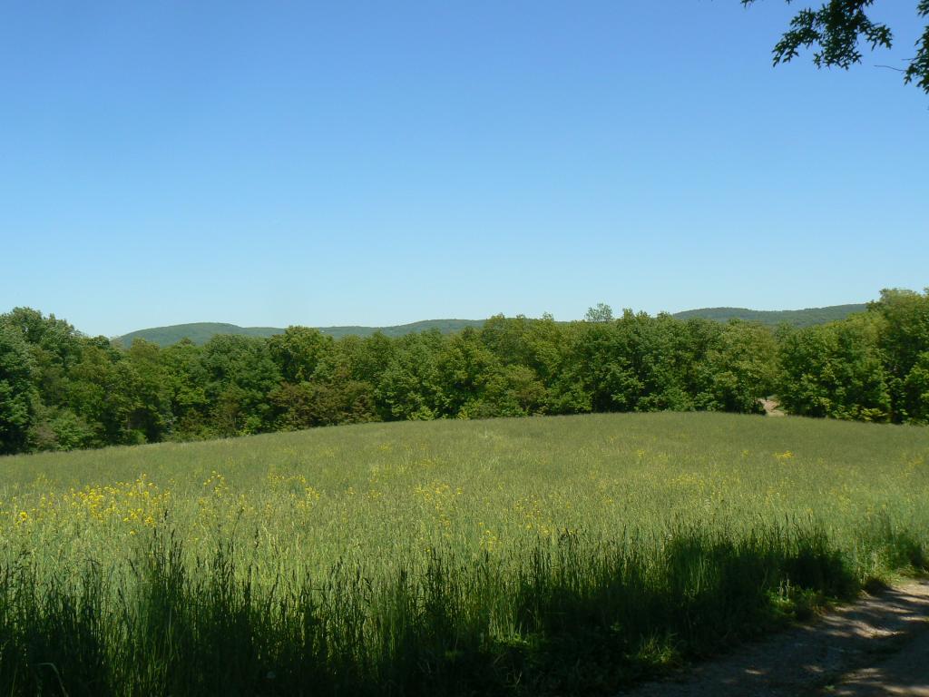 114 RT 284