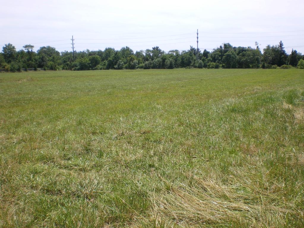 MLS #/Web ID: 2541482