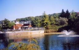 77 CANADA GOOSE DR