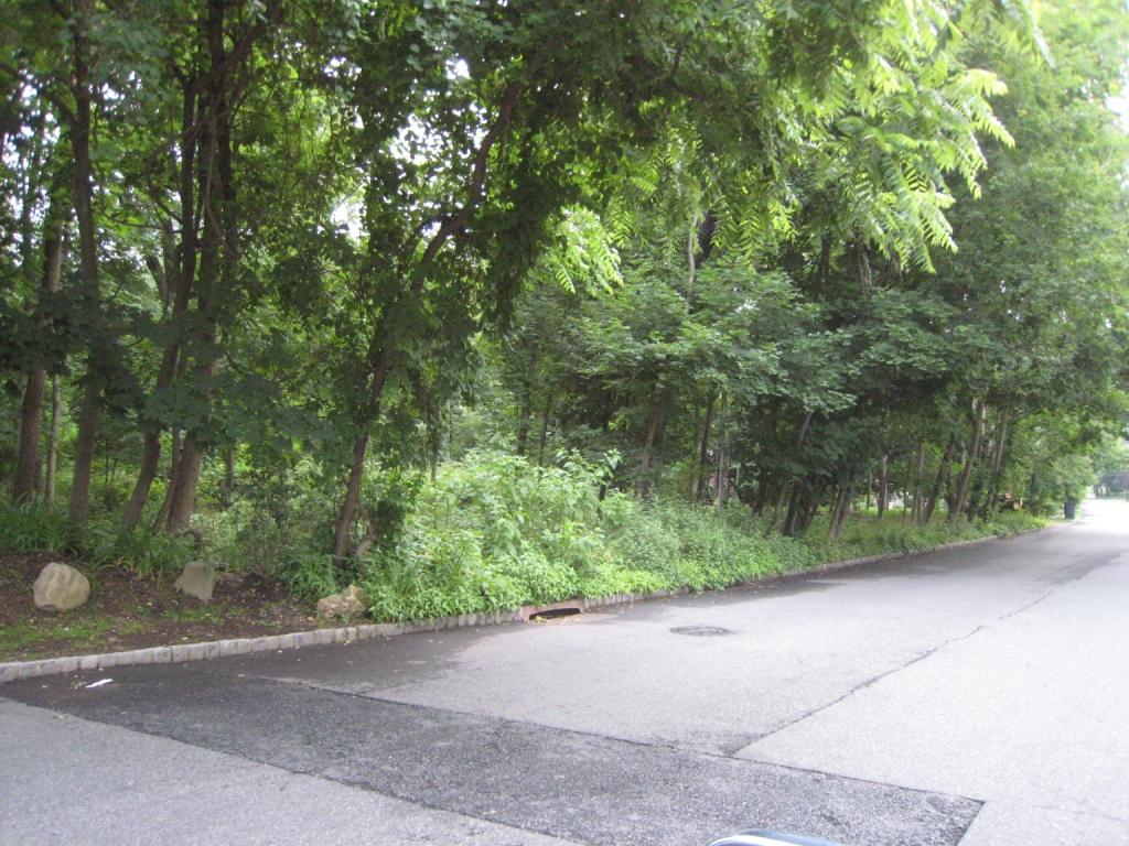 MLS #/Web ID: 2540483