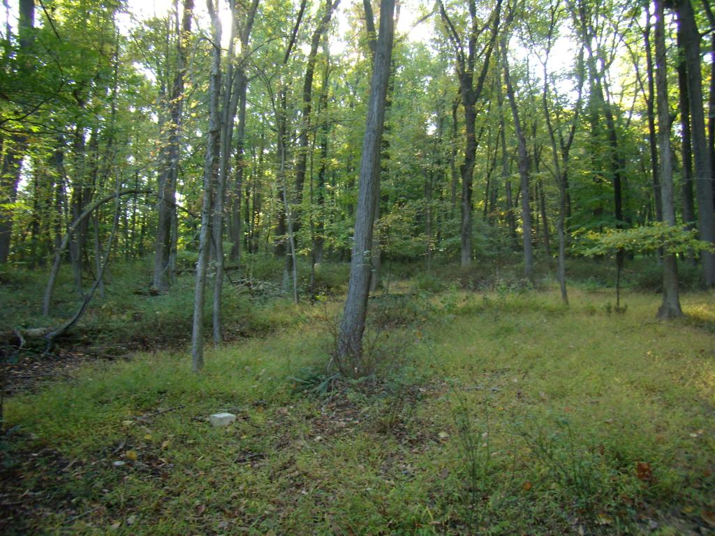 MLS #/Web ID: 2588283