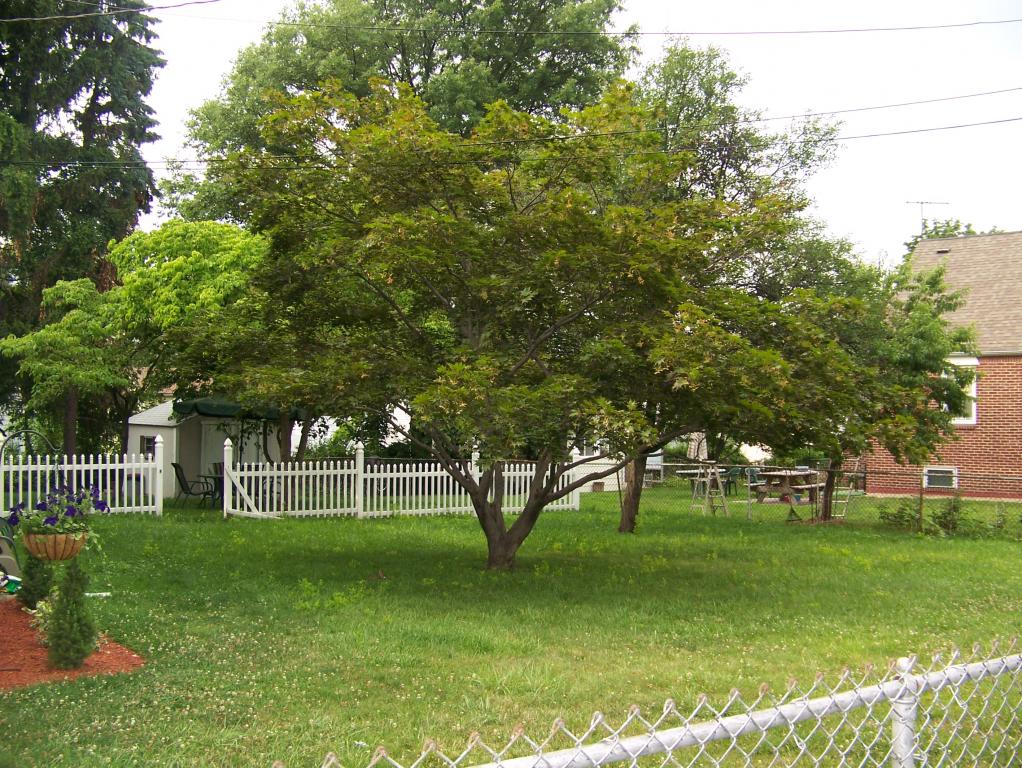 MLS #/Web ID: 2626083