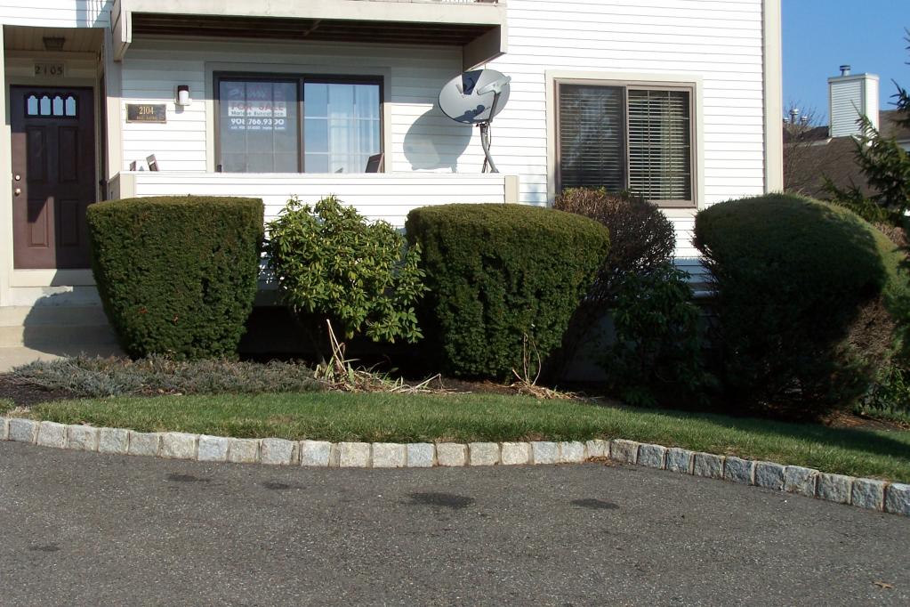 2104 ROSE CT