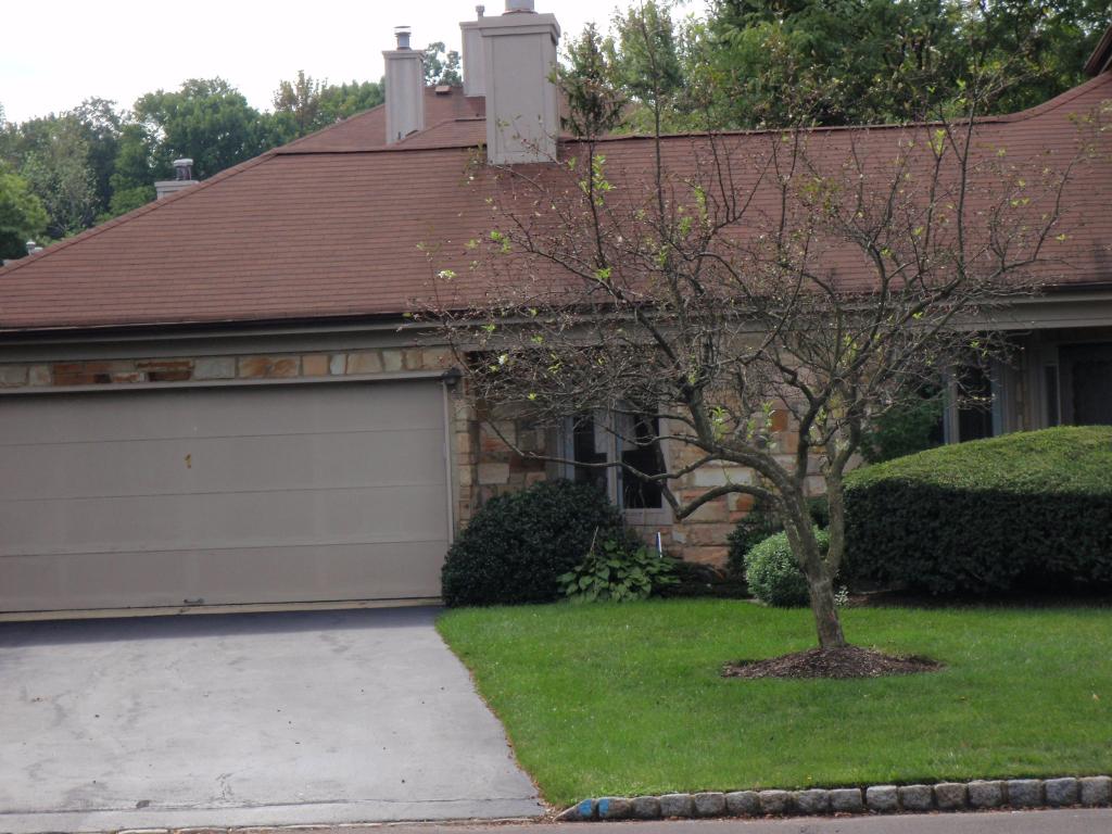 1 MORTON CT