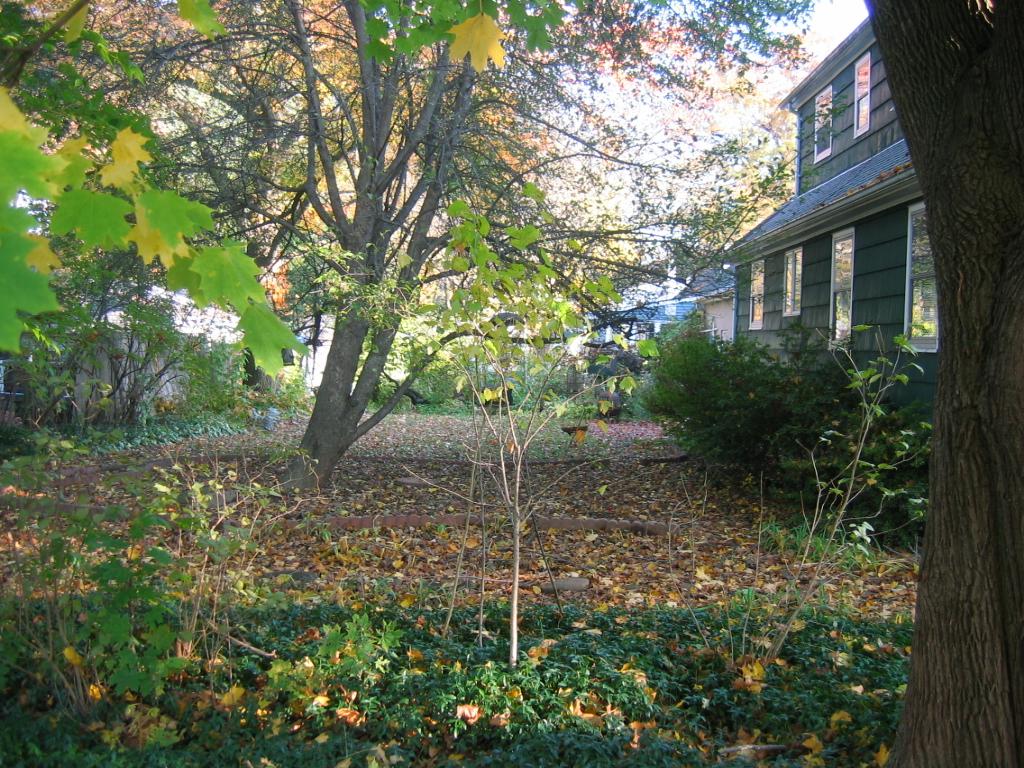 MLS #/Web ID: 2724783