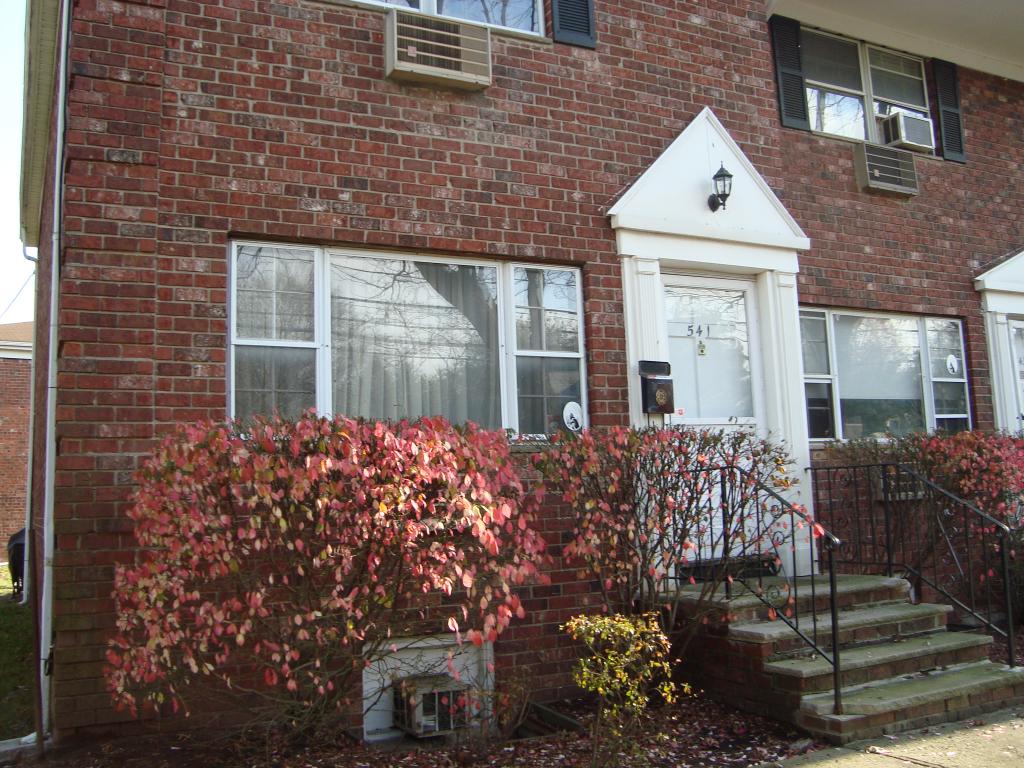 541 S SPRINGFIELD AVE