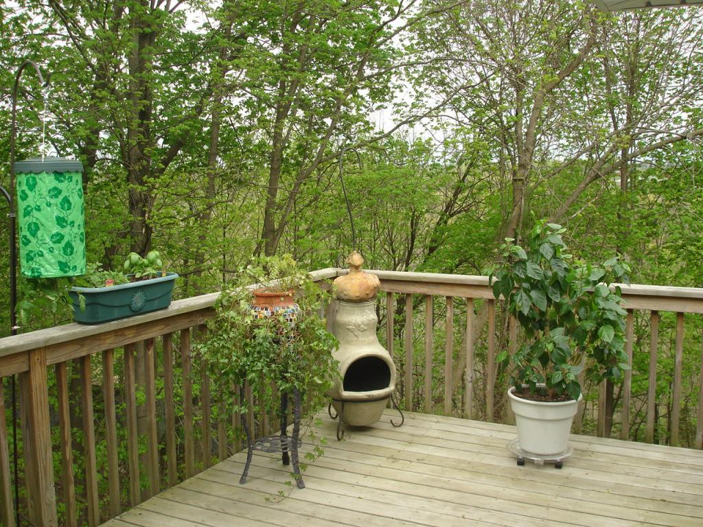MLS #/Web ID: 2678684