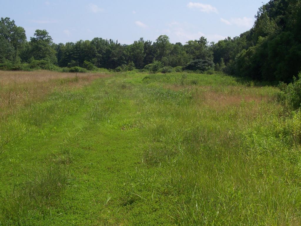 241 OAK GROVE RD