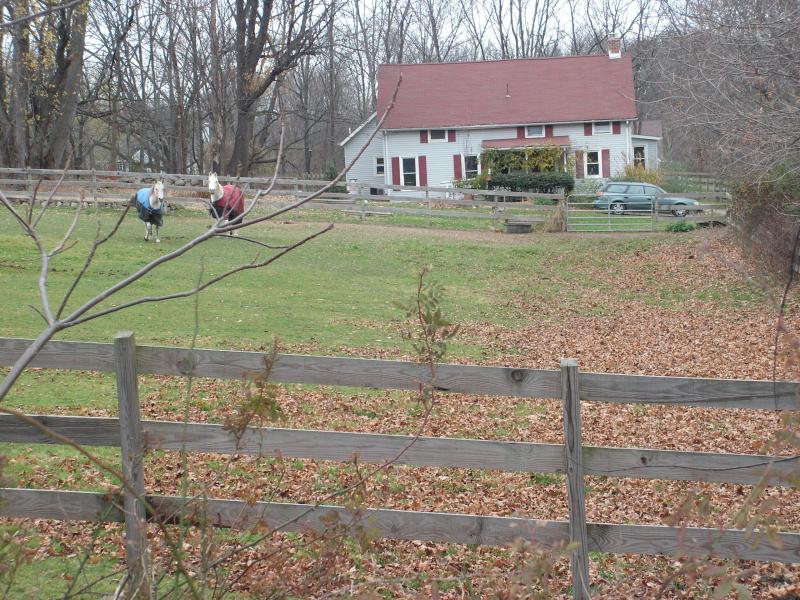MLS #/Web ID: 2727584