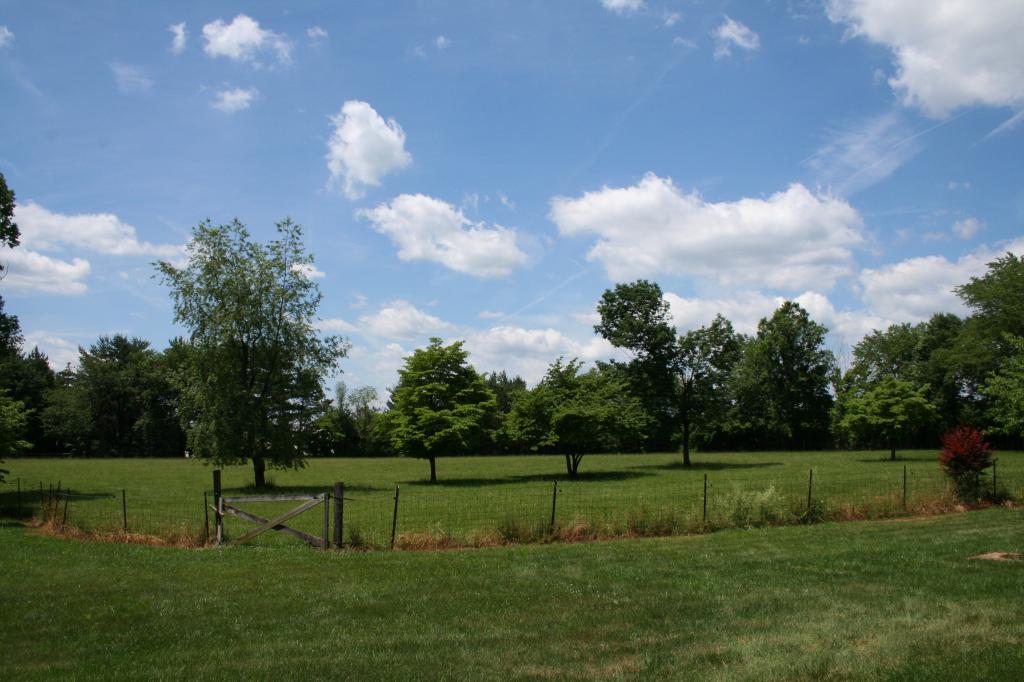 MLS #/Web ID: 2685185