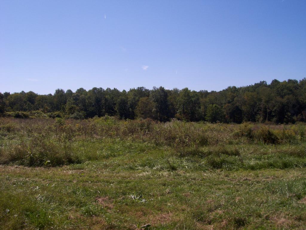 00 Seabrook Rd