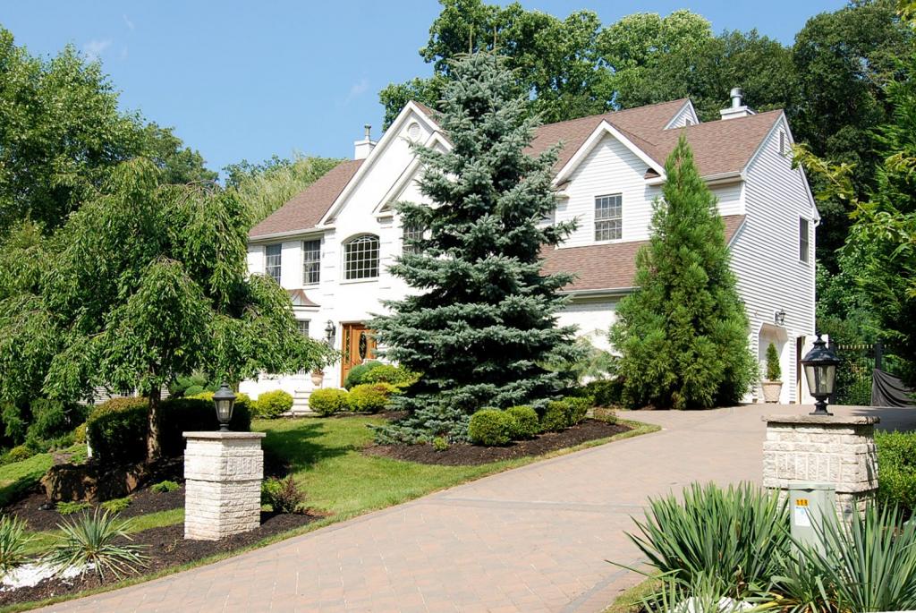 11 RIDGE RD