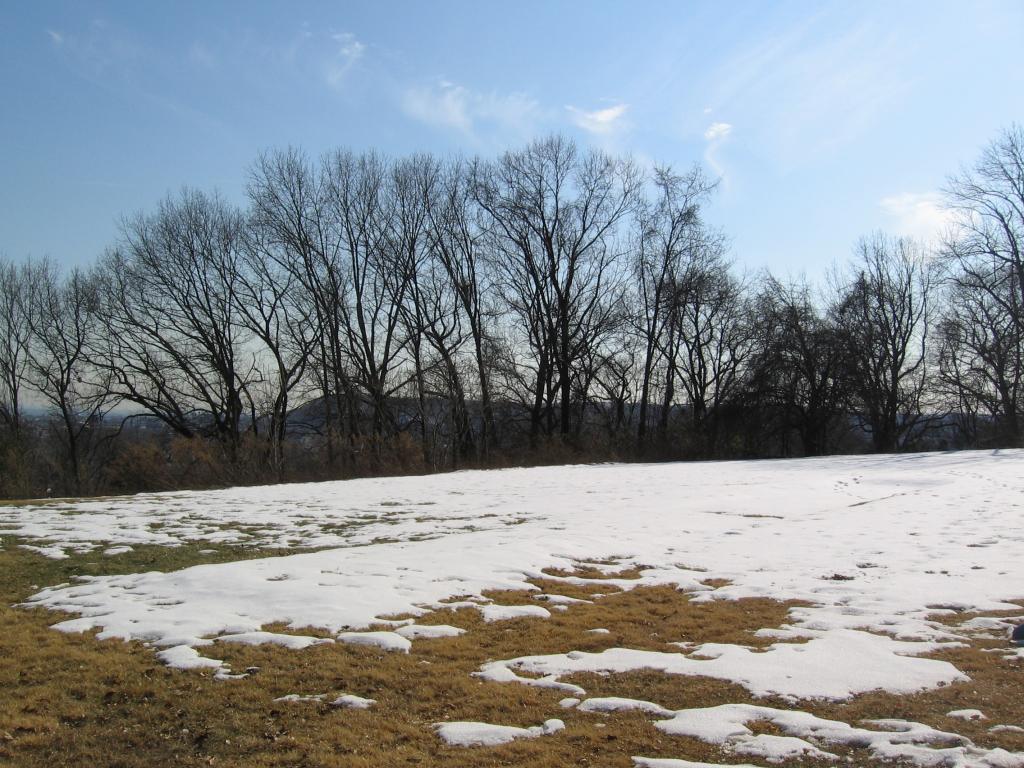 MLS #/Web ID: 2643386