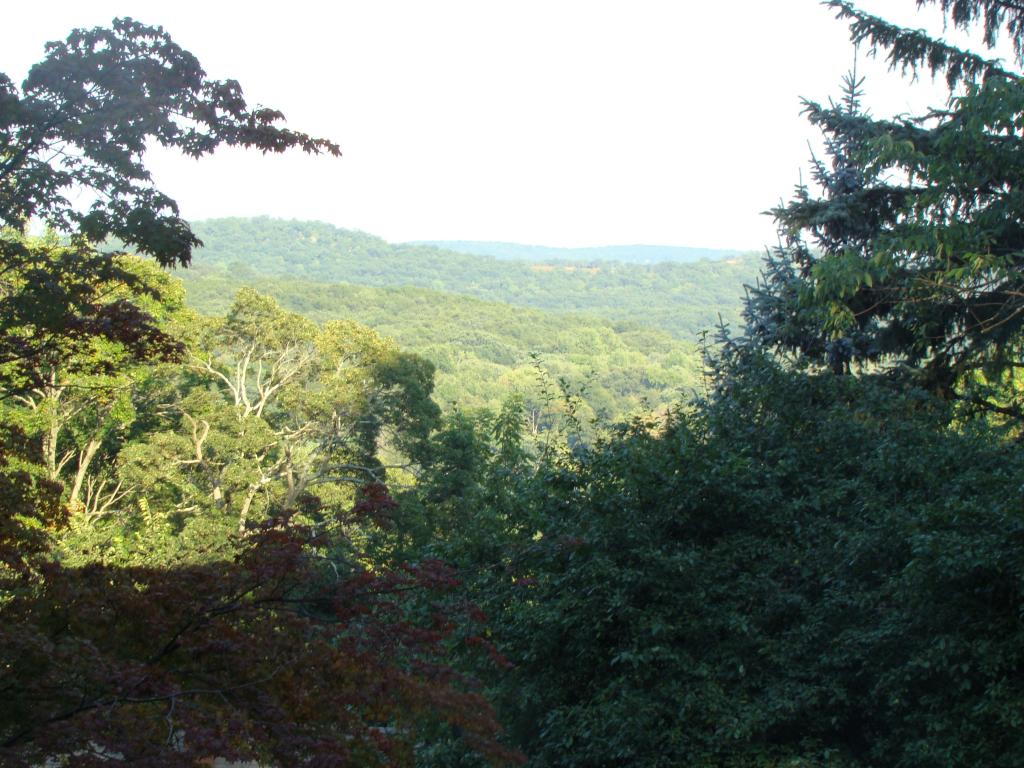MLS #/Web ID: 2711686