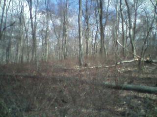 MLS #/Web ID: 2563687