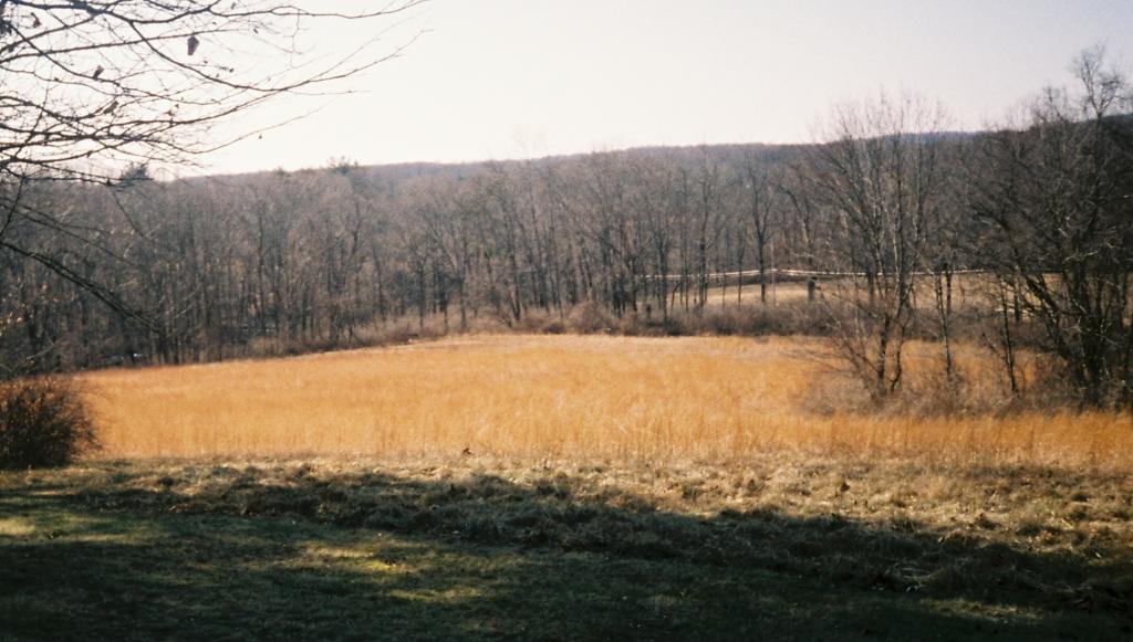528 VAN BEUREN RD
