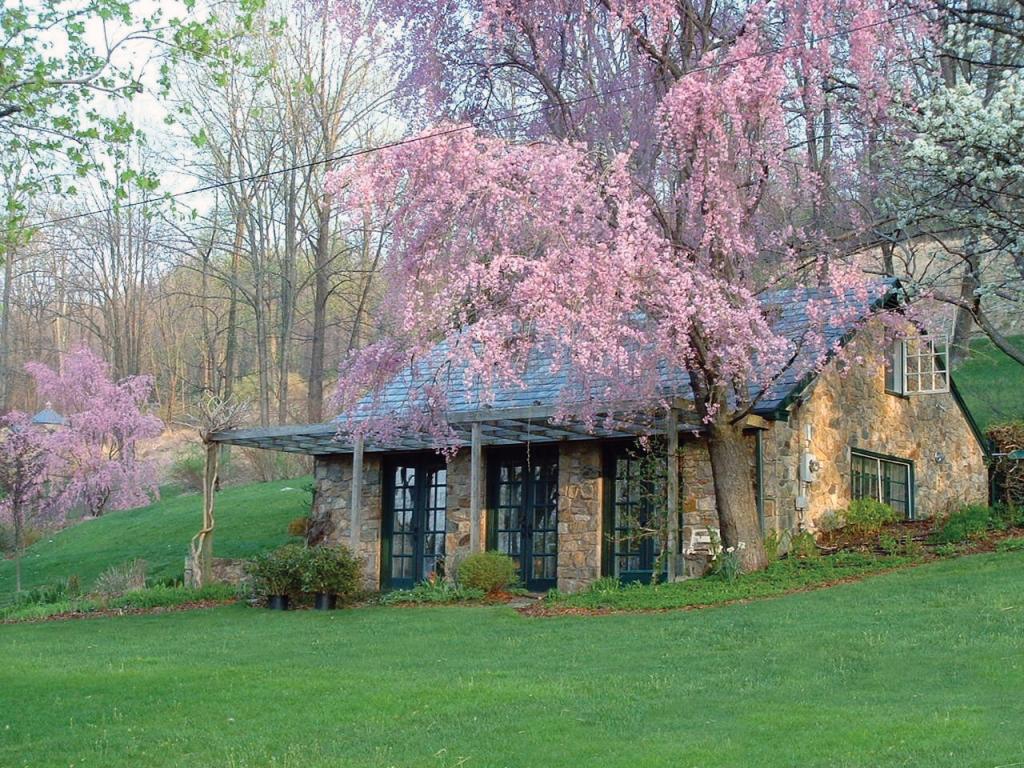 MLS #/Web ID: 2721587