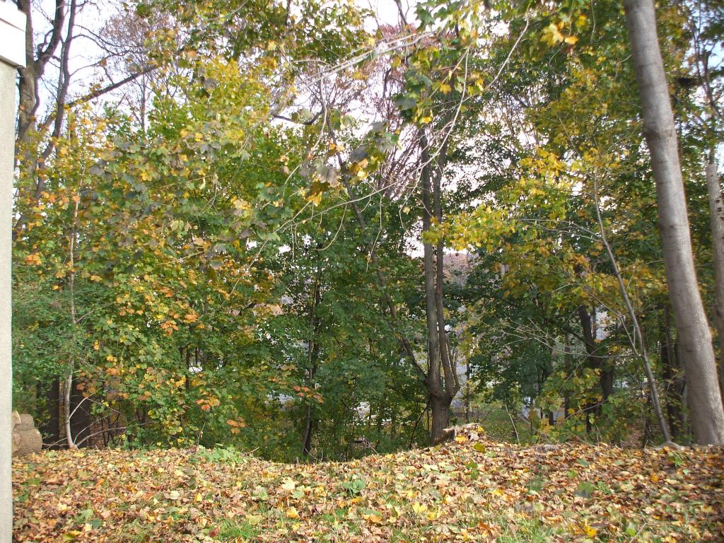 MLS #/Web ID: 2726287