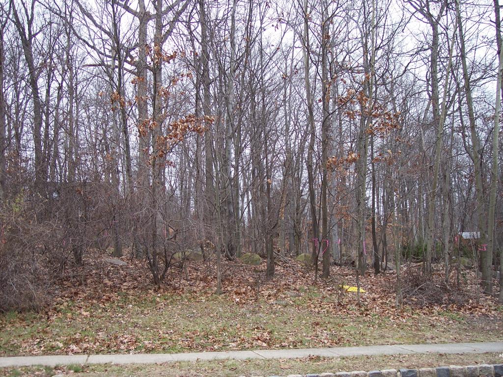 23 FOREST WAY