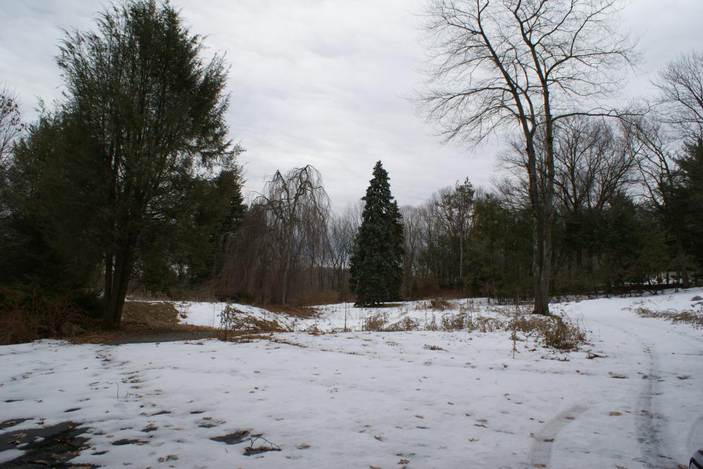 1 BROOKVALE RD