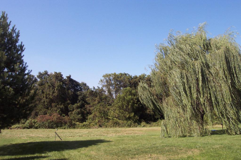 MLS #/Web ID: 2712388