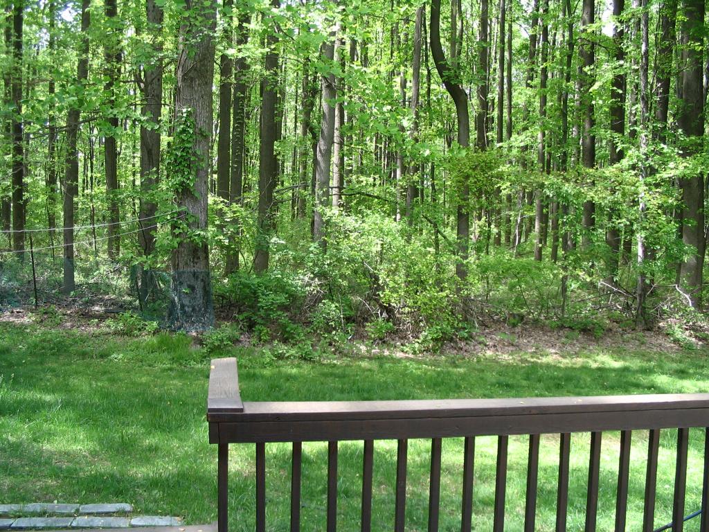 MLS #/Web ID: 2684289