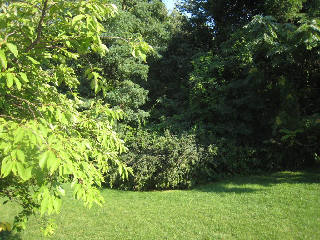 MLS #/Web ID: 2703689