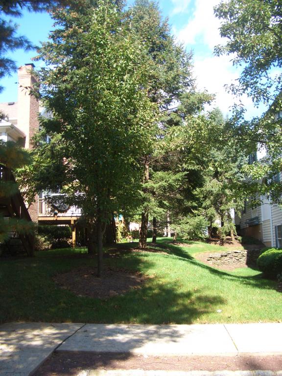 MLS #/Web ID: 2718789