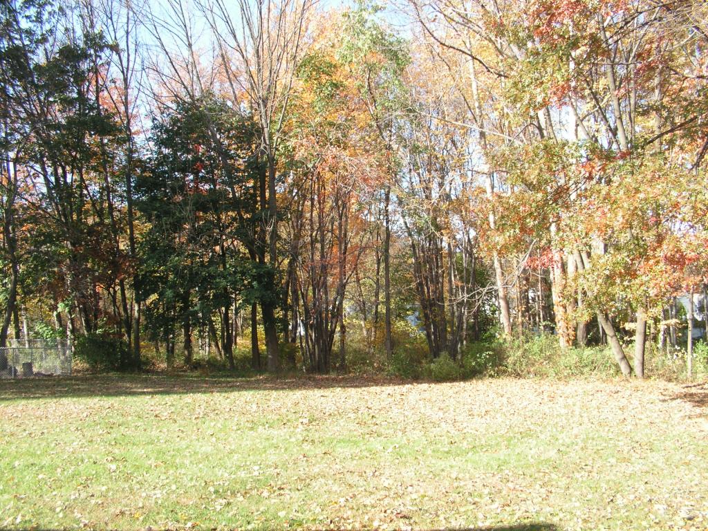 MLS #/Web ID: 2724089