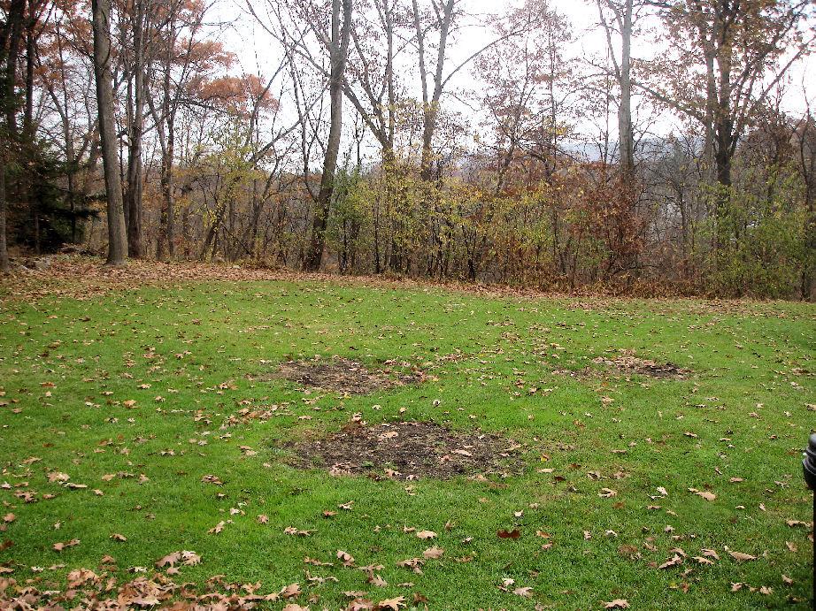 MLS #/Web ID: 2725689