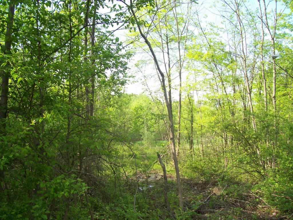 310 Old Croton Rd.