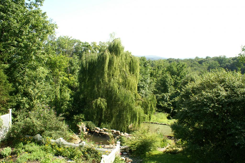 MLS #/Web ID: 2703190