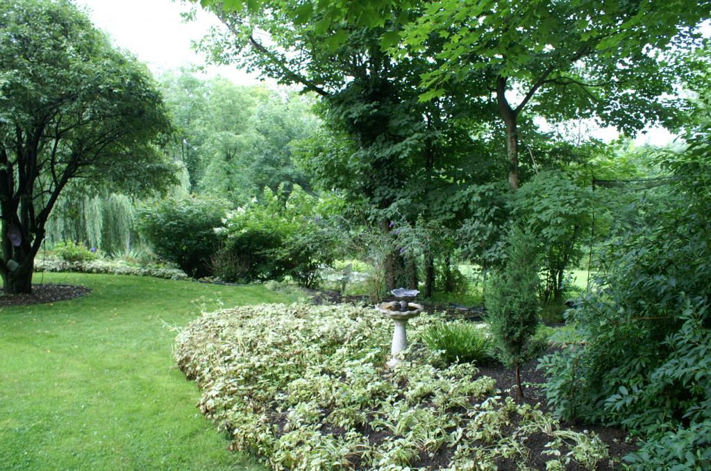 MLS #/Web ID: 2703190