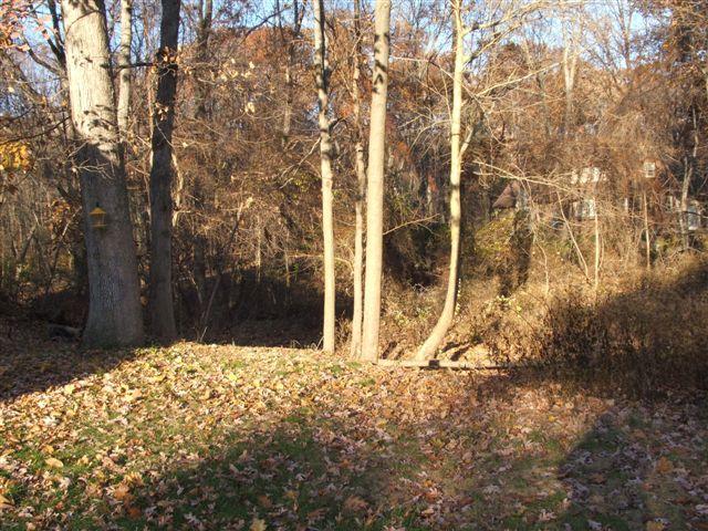 MLS #/Web ID: 2628291