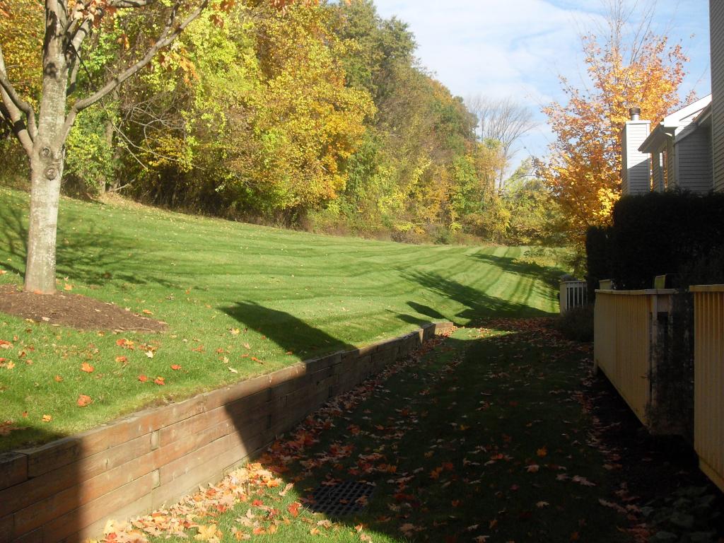 MLS #/Web ID: 2723091