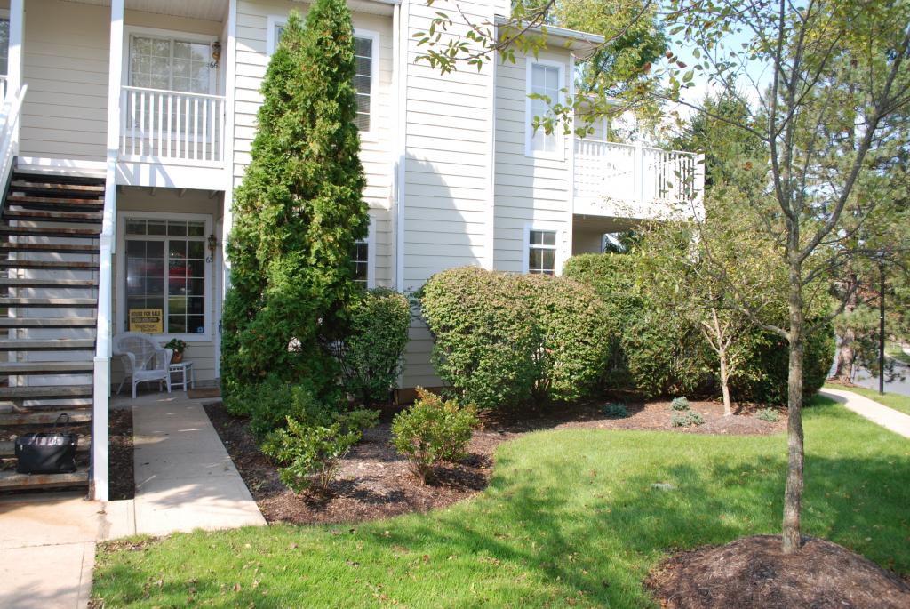 65 WESCOTT RD