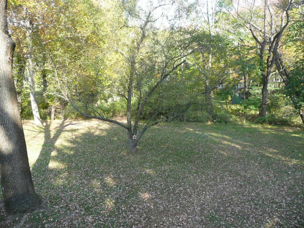 4 FREDERICK PL