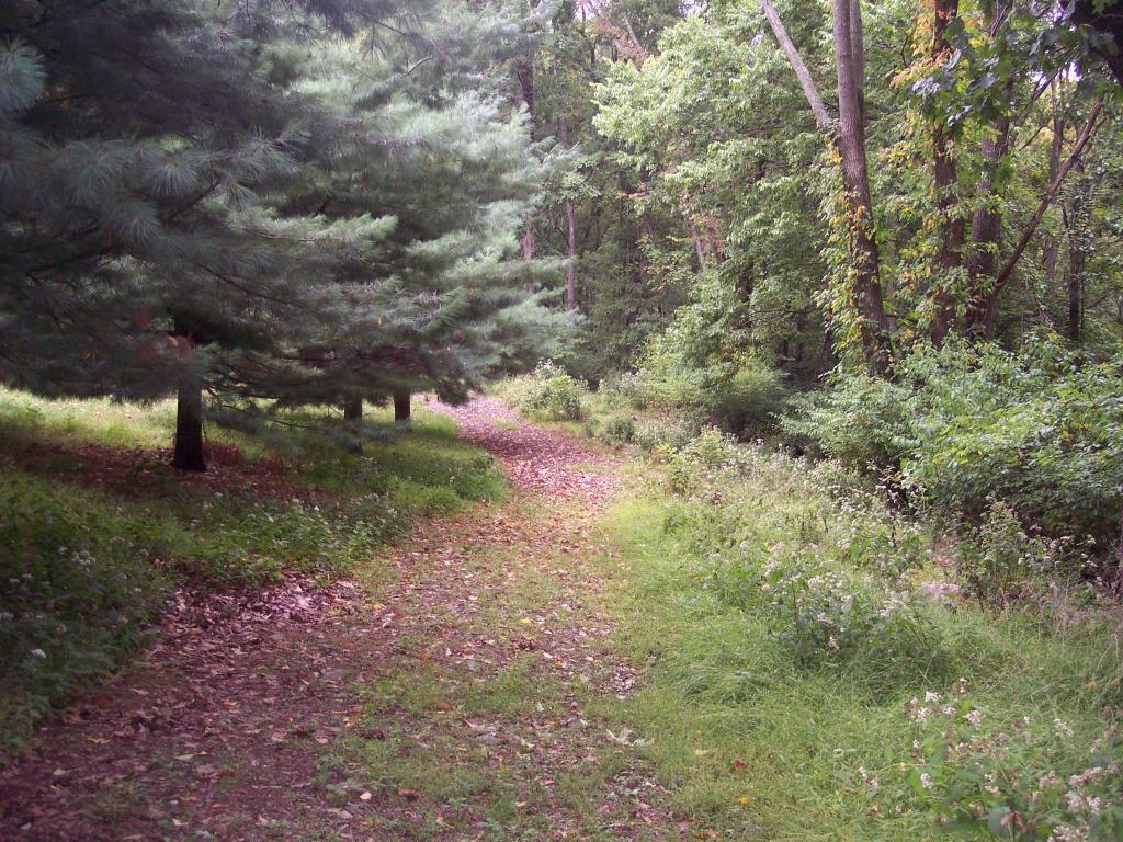 MLS #/Web ID: 2585493