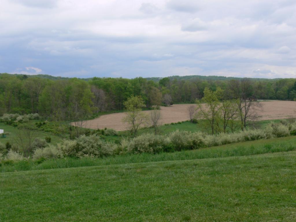 MLS #/Web ID: 2668293
