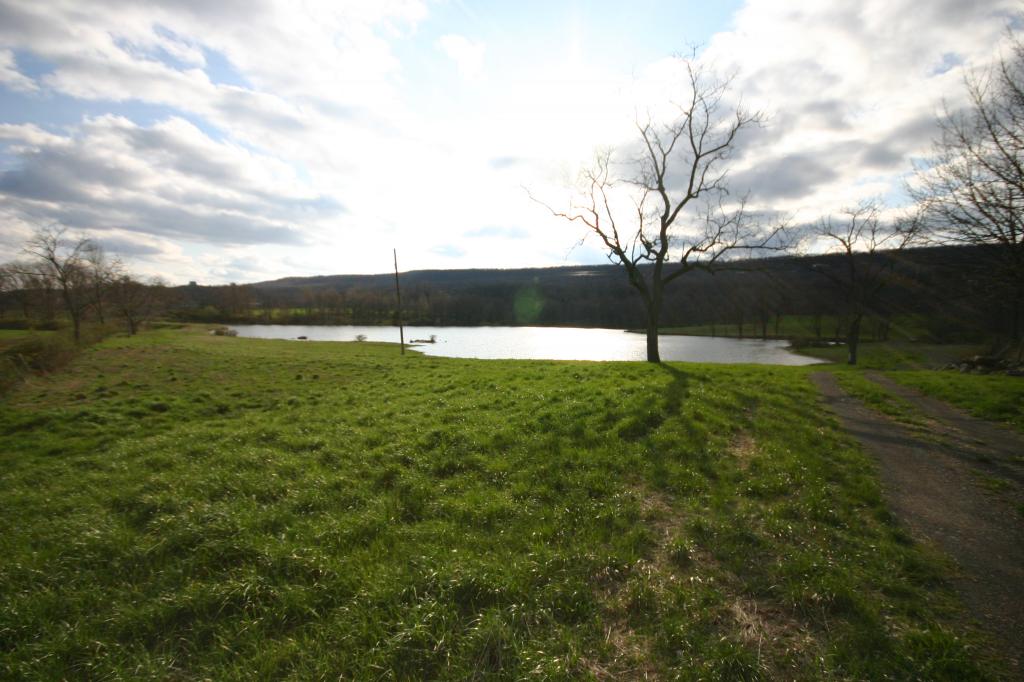Land for Sale, ListingId:12813895, location: 00 Route 519 Wantage 07461