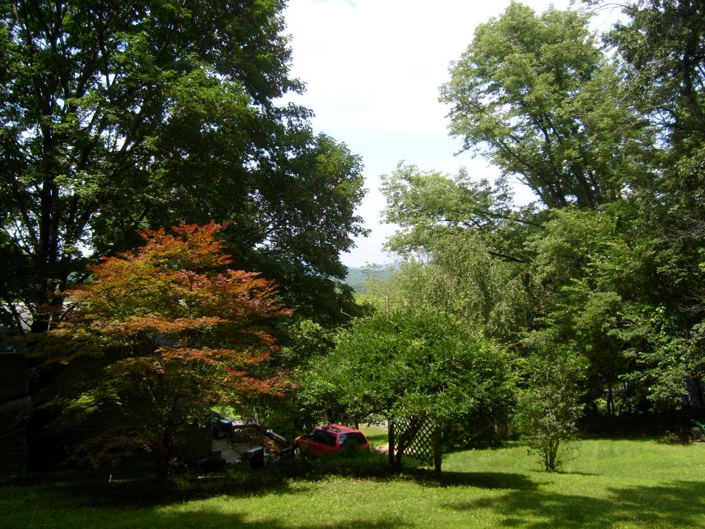 MLS #/Web ID: 2701693