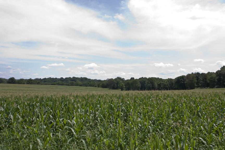 0 Lot 2 & 3 Meetinghouse