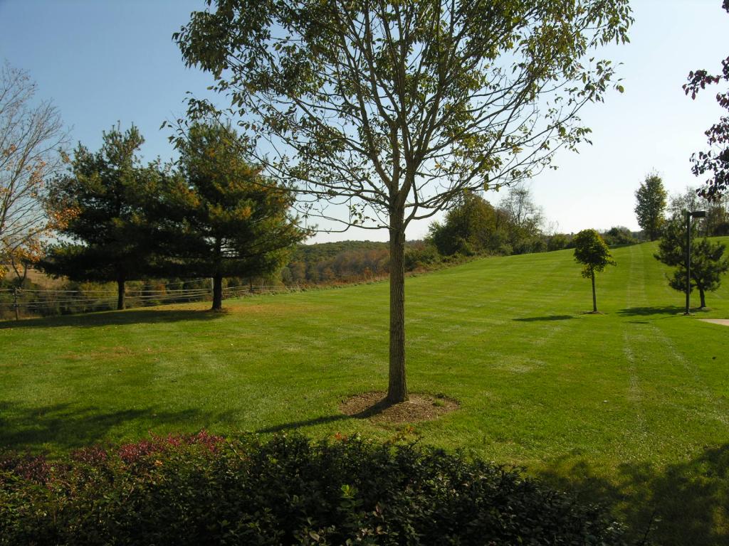 107 REYNARD DR